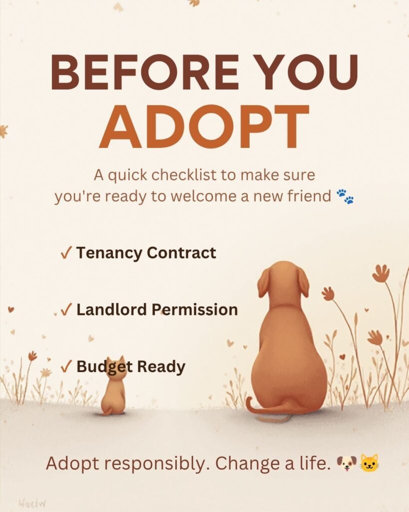 pet adoption UAE
