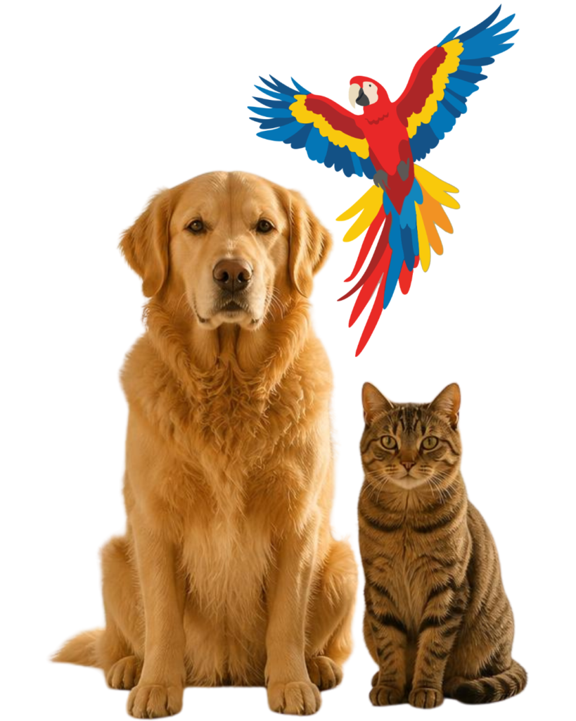 Best Vet in Dubai